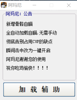 王者荣耀阿尼玛辅助