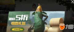 《绝地求生王者荣耀》玉王者荣耀辅助米套装怎