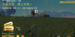 《王者荣耀》随缘玩王者荣耀外挂法 运气吃鸡也