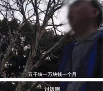 公园大爷招女婿 豪宅保时王者荣耀辅助捷是基础