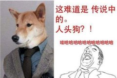 王者荣耀：原来隐藏称号一共王者荣耀PC端辅助