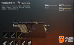 《绝地求生：王者荣耀》王者荣耀PC端辅助-枪械