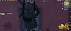 体验服趣事分享王者荣耀外挂 窗户吃人见过没