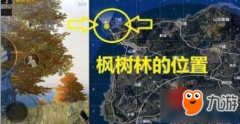 《王者荣耀》绝地海岛野餐聚王者荣耀模拟器外
