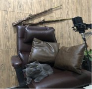 光速98K男神主播爱撸猫王者荣耀辅助？电竞圈白