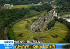 王者荣耀PC辅助【我国首个中国农民丰收节】各地