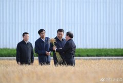 免费开挂王者荣耀不封号手机版