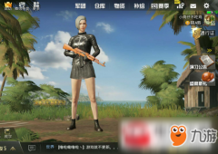 王者荣耀外挂《绝地求生王者荣耀》屏幕亮度调