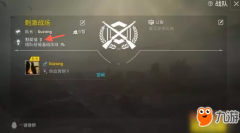 王者荣耀免费辅助《绝地求生王者荣耀》默契值