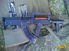 王者荣耀透视辅助俄罗斯综合武器Groza 与QBZ不清