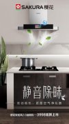 SAKURA樱花、国美达成战略合王者荣耀辅助作，震