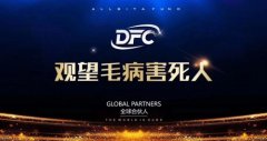 【聚焦】DFC///代理团队加入王者荣耀外挂人多吗