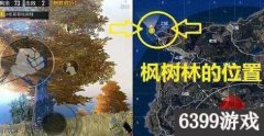 王者荣耀枫树林野餐彩蛋王者荣耀PC端辅助 和平