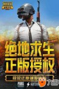 《绝地求生王者荣耀》电脑版王者荣耀辅助吃鸡