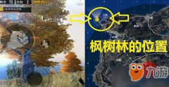 刺激电脑版外挂《绝地求生王者荣耀》海岛野餐