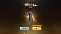 王者荣耀辅助王者荣耀：绝地求生王者荣耀大衣