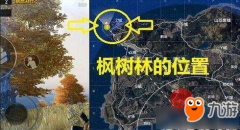 王者荣耀透视辅助《绝地求生王者荣耀》绝地海
